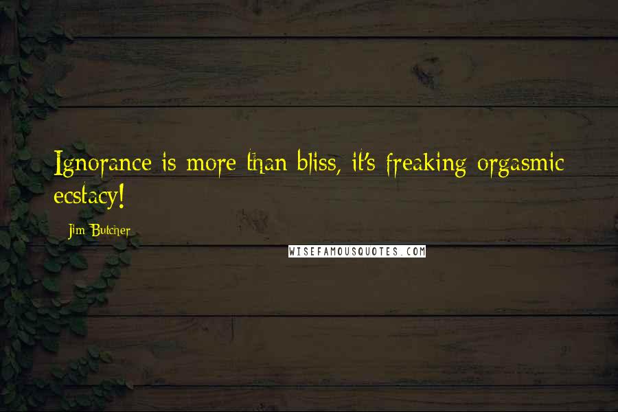 Jim Butcher Quotes: Ignorance is more than bliss, it's freaking orgasmic ecstacy!