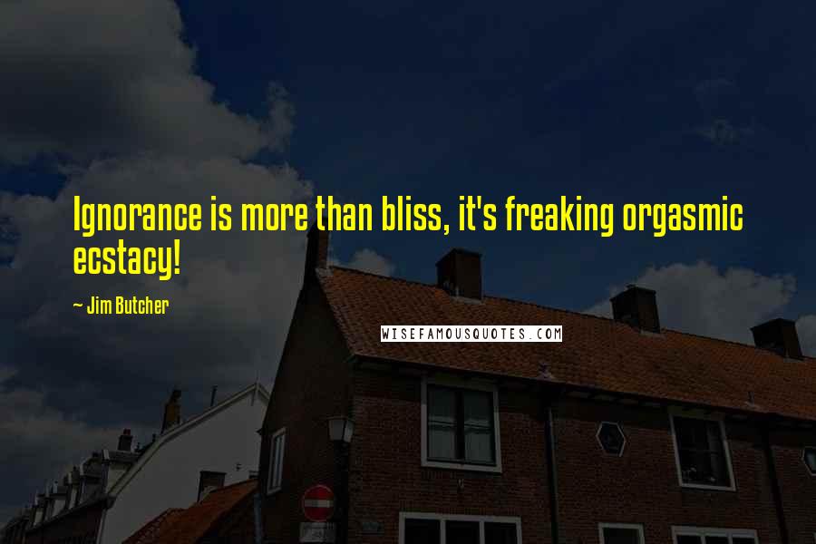 Jim Butcher Quotes: Ignorance is more than bliss, it's freaking orgasmic ecstacy!