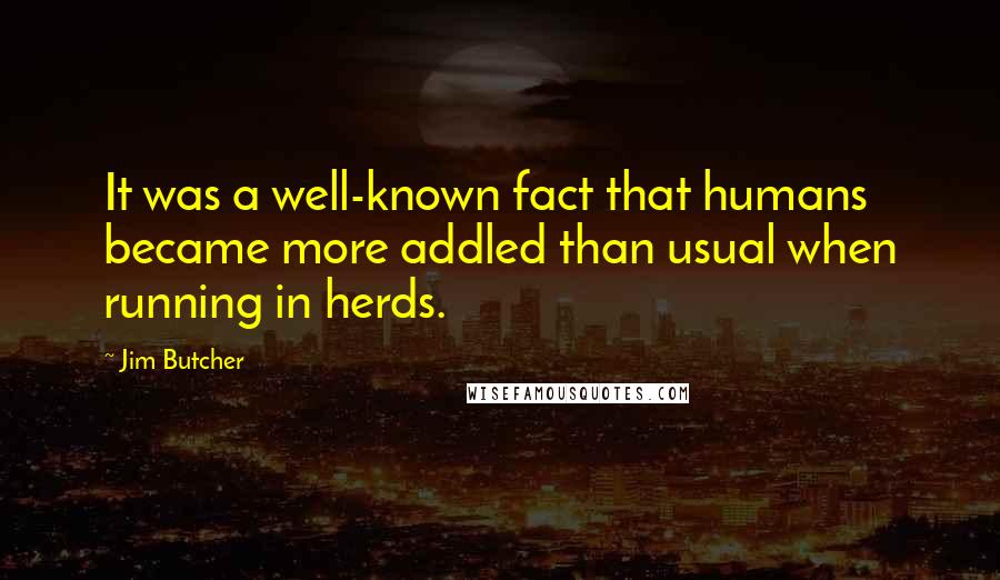 Jim Butcher Quotes: It was a well-known fact that humans became more addled than usual when running in herds.