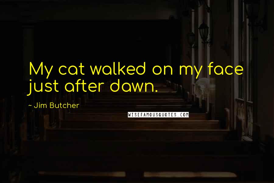 Jim Butcher Quotes: My cat walked on my face just after dawn.