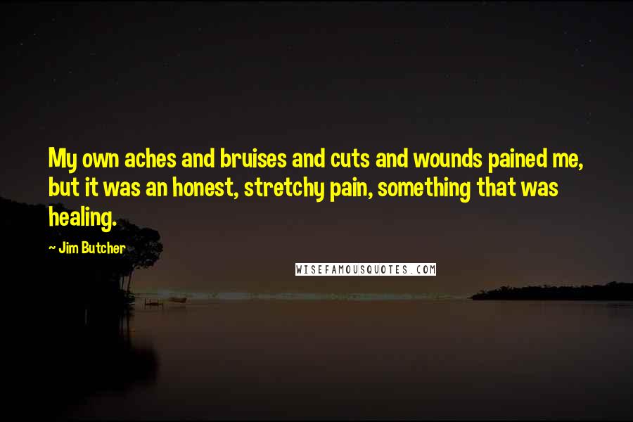 Jim Butcher Quotes: My own aches and bruises and cuts and wounds pained me, but it was an honest, stretchy pain, something that was healing.