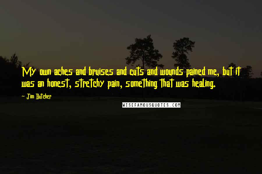 Jim Butcher Quotes: My own aches and bruises and cuts and wounds pained me, but it was an honest, stretchy pain, something that was healing.