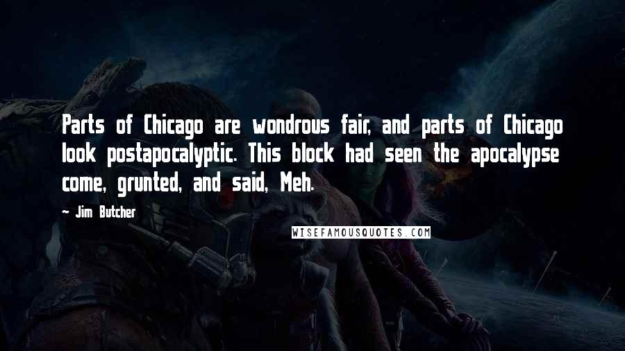 Jim Butcher Quotes: Parts of Chicago are wondrous fair, and parts of Chicago look postapocalyptic. This block had seen the apocalypse come, grunted, and said, Meh.