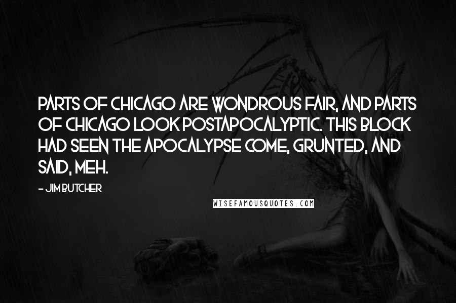 Jim Butcher Quotes: Parts of Chicago are wondrous fair, and parts of Chicago look postapocalyptic. This block had seen the apocalypse come, grunted, and said, Meh.