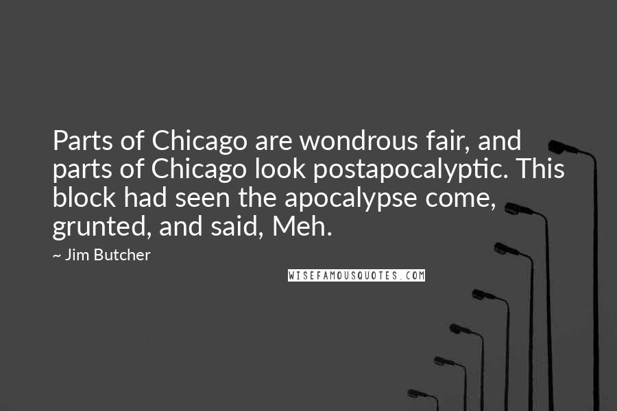 Jim Butcher Quotes: Parts of Chicago are wondrous fair, and parts of Chicago look postapocalyptic. This block had seen the apocalypse come, grunted, and said, Meh.