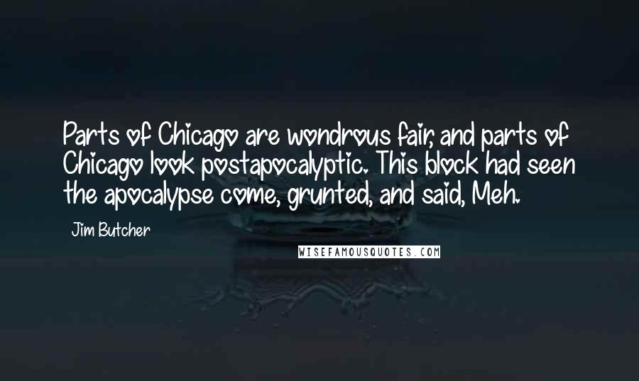 Jim Butcher Quotes: Parts of Chicago are wondrous fair, and parts of Chicago look postapocalyptic. This block had seen the apocalypse come, grunted, and said, Meh.
