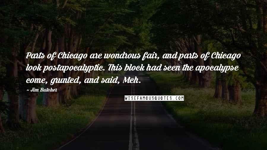 Jim Butcher Quotes: Parts of Chicago are wondrous fair, and parts of Chicago look postapocalyptic. This block had seen the apocalypse come, grunted, and said, Meh.