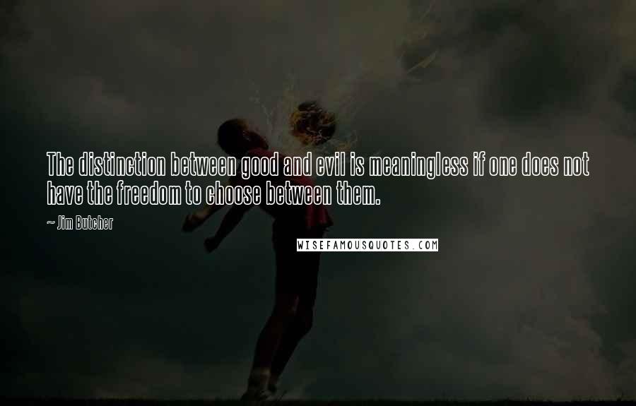 Jim Butcher Quotes: The distinction between good and evil is meaningless if one does not have the freedom to choose between them.