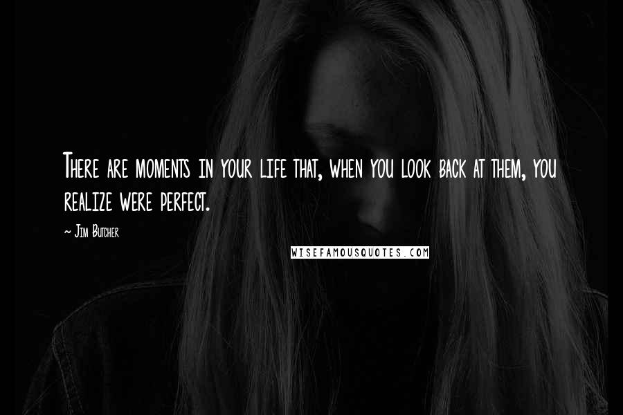 Jim Butcher Quotes: There are moments in your life that, when you look back at them, you realize were perfect.