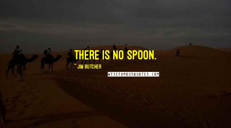 Jim Butcher Quotes: There is no spoon.