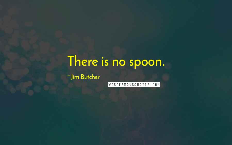 Jim Butcher Quotes: There is no spoon.