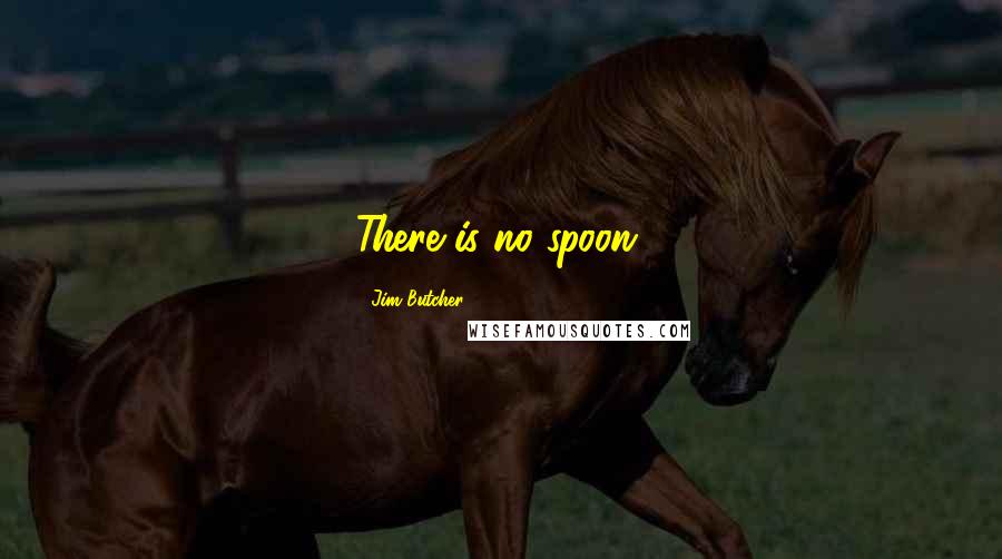Jim Butcher Quotes: There is no spoon.