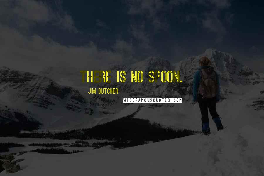 Jim Butcher Quotes: There is no spoon.