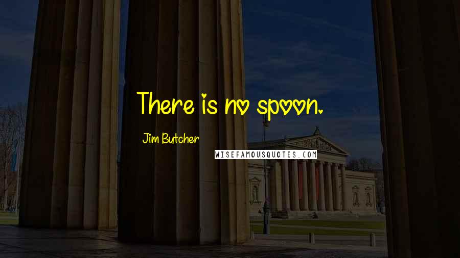 Jim Butcher Quotes: There is no spoon.