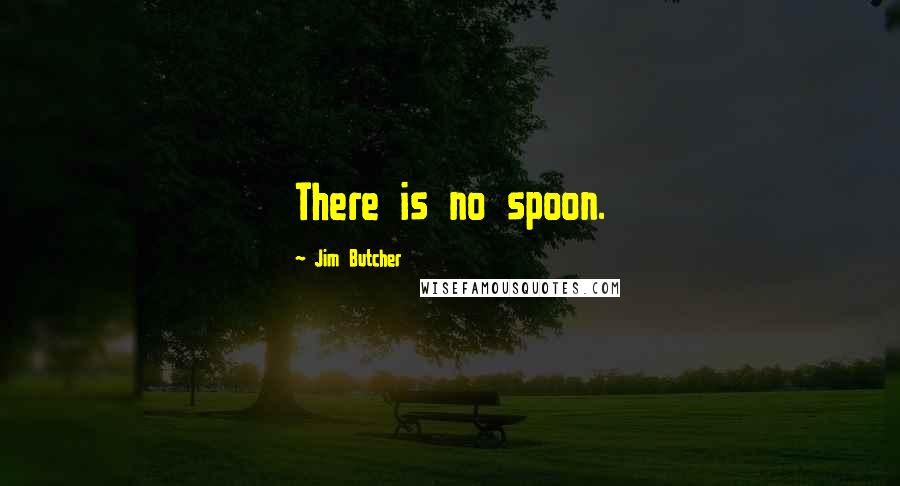 Jim Butcher Quotes: There is no spoon.