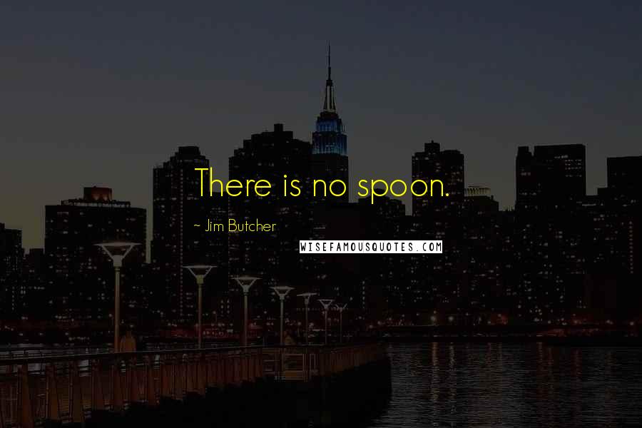 Jim Butcher Quotes: There is no spoon.