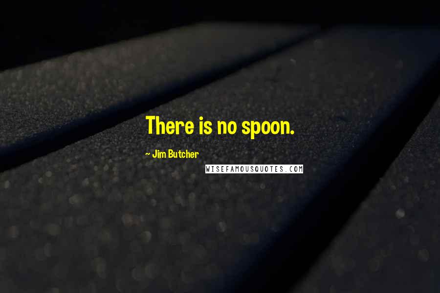 Jim Butcher Quotes: There is no spoon.