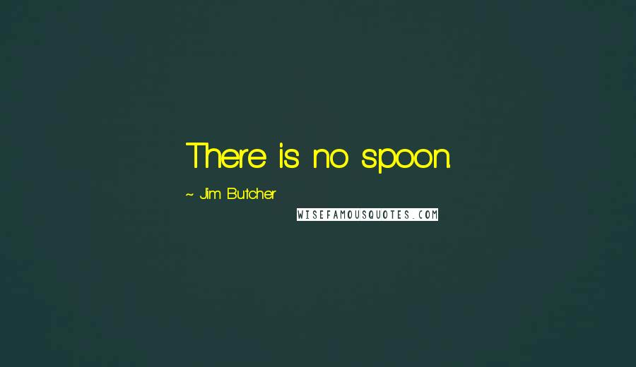 Jim Butcher Quotes: There is no spoon.