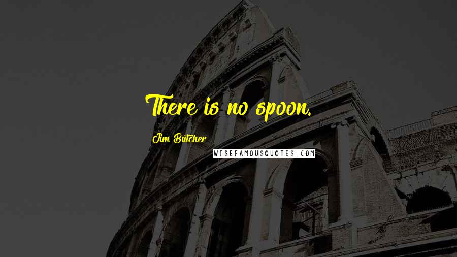 Jim Butcher Quotes: There is no spoon.