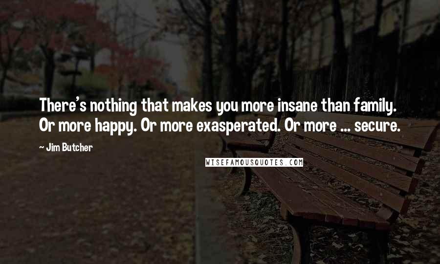 Jim Butcher Quotes: There's nothing that makes you more insane than family. Or more happy. Or more exasperated. Or more ... secure.