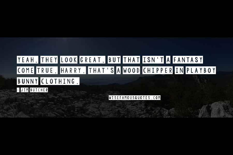 Jim Butcher Quotes: Yeah, they look great, but that isn't a fantasy come true, Harry. That's a wood chipper in Playboy bunny clothing.