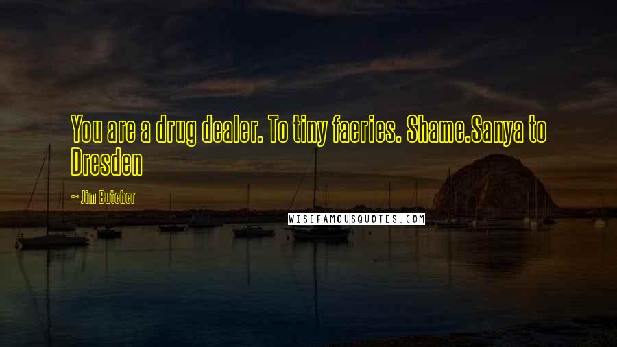 Jim Butcher Quotes: You are a drug dealer. To tiny faeries. Shame.Sanya to Dresden