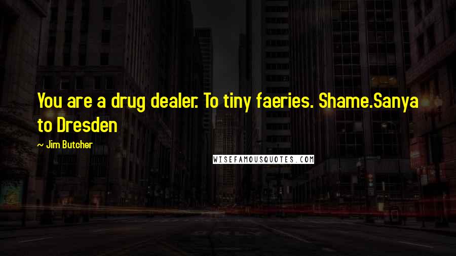 Jim Butcher Quotes: You are a drug dealer. To tiny faeries. Shame.Sanya to Dresden
