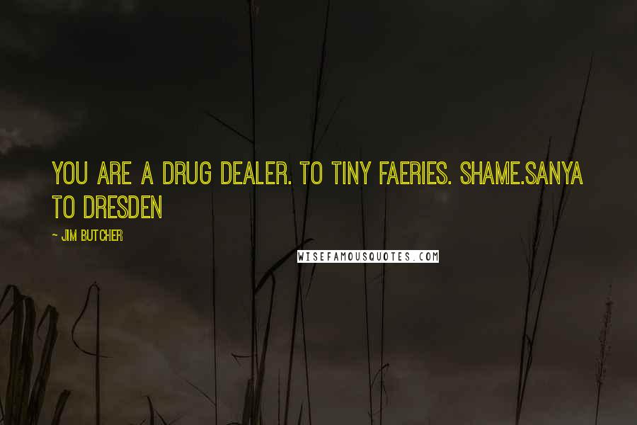 Jim Butcher Quotes: You are a drug dealer. To tiny faeries. Shame.Sanya to Dresden