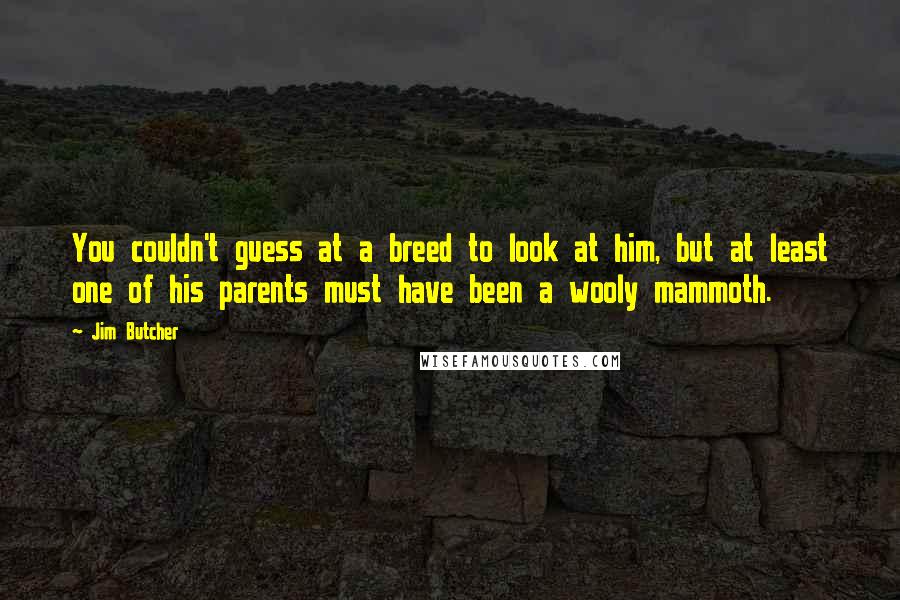 Jim Butcher Quotes: You couldn't guess at a breed to look at him, but at least one of his parents must have been a wooly mammoth.