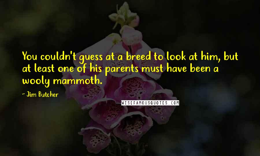 Jim Butcher Quotes: You couldn't guess at a breed to look at him, but at least one of his parents must have been a wooly mammoth.