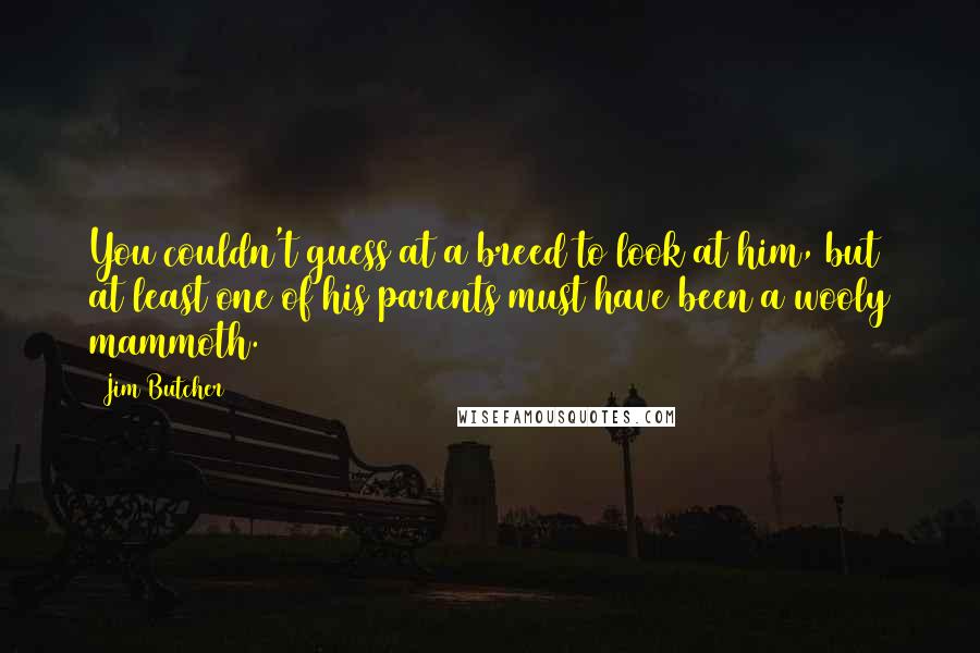 Jim Butcher Quotes: You couldn't guess at a breed to look at him, but at least one of his parents must have been a wooly mammoth.