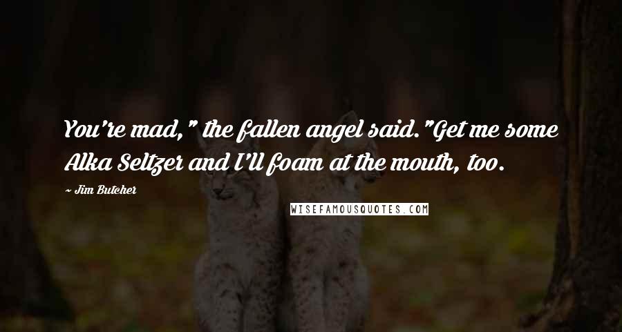 Jim Butcher Quotes: You're mad," the fallen angel said."Get me some Alka Seltzer and I'll foam at the mouth, too.