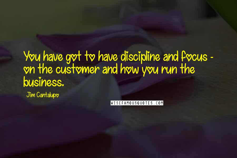 Jim Cantalupo Quotes: You have got to have discipline and focus - on the customer and how you run the business.