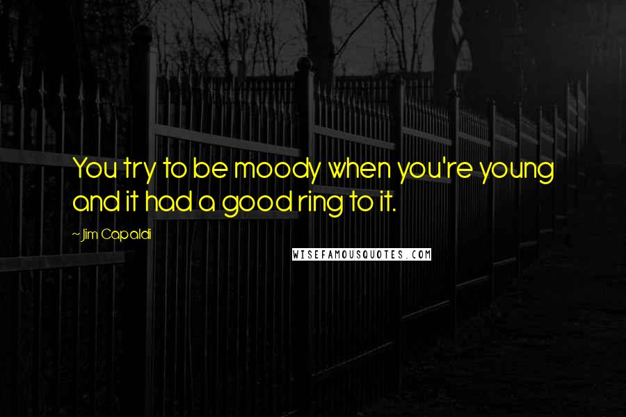 Jim Capaldi Quotes: You try to be moody when you're young and it had a good ring to it.