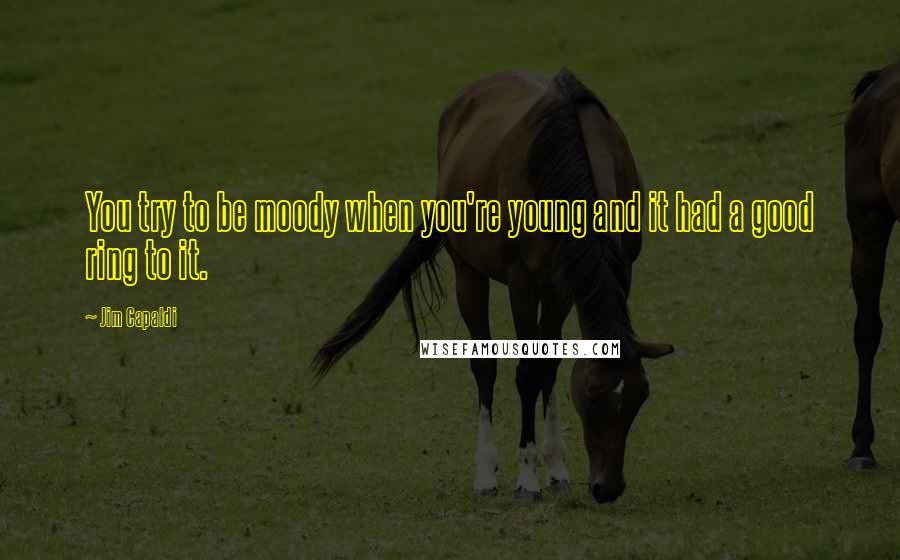 Jim Capaldi Quotes: You try to be moody when you're young and it had a good ring to it.