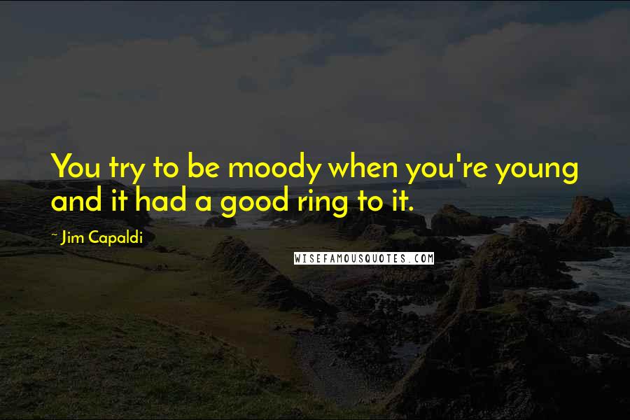 Jim Capaldi Quotes: You try to be moody when you're young and it had a good ring to it.