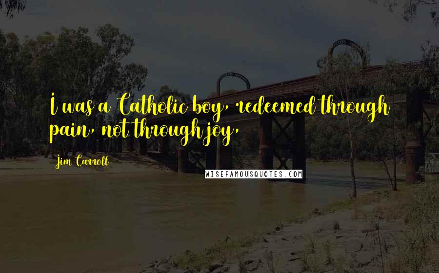 Jim Carroll Quotes: I was a Catholic boy, redeemed through pain, not through joy,