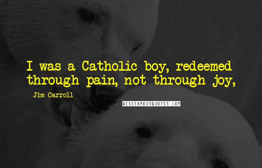 Jim Carroll Quotes: I was a Catholic boy, redeemed through pain, not through joy,