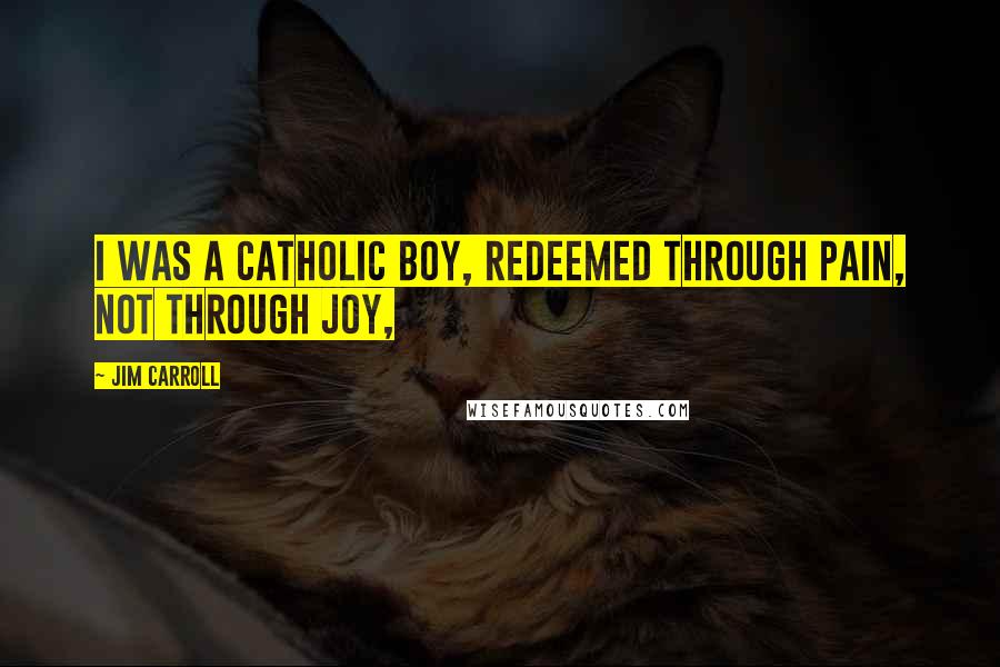 Jim Carroll Quotes: I was a Catholic boy, redeemed through pain, not through joy,