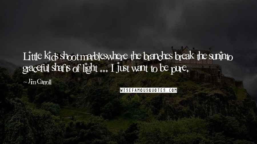 Jim Carroll Quotes: Little kids shoot marbleswhere the branches break the suninto graceful shafts of light ... I just want to be pure.