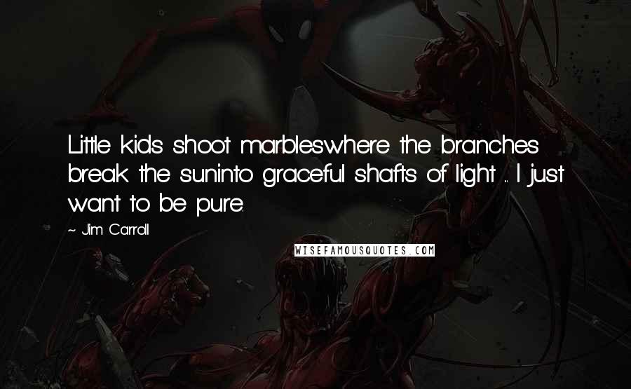 Jim Carroll Quotes: Little kids shoot marbleswhere the branches break the suninto graceful shafts of light ... I just want to be pure.