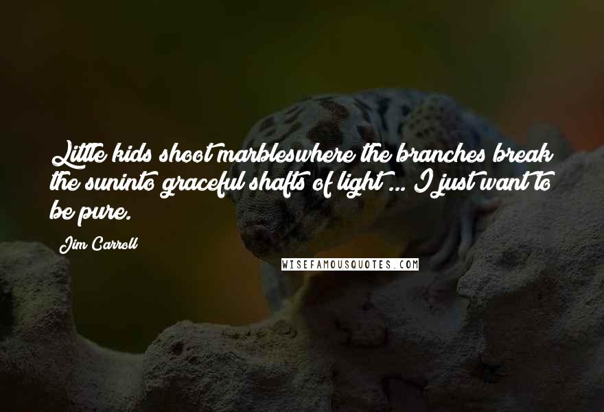 Jim Carroll Quotes: Little kids shoot marbleswhere the branches break the suninto graceful shafts of light ... I just want to be pure.