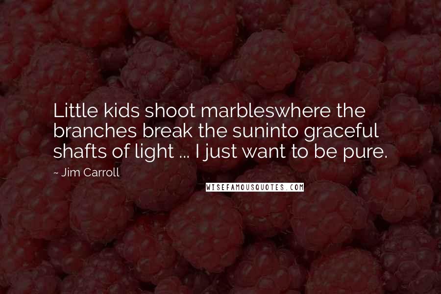 Jim Carroll Quotes: Little kids shoot marbleswhere the branches break the suninto graceful shafts of light ... I just want to be pure.