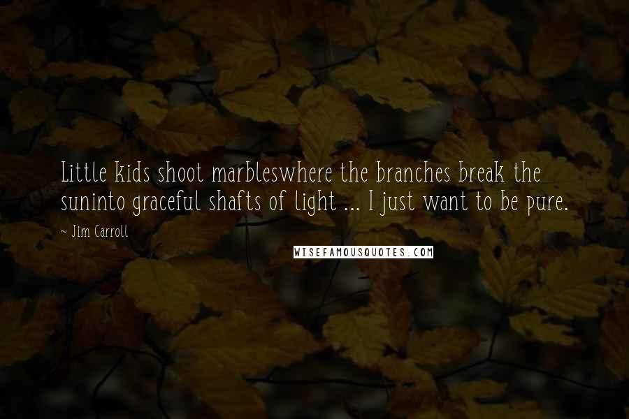 Jim Carroll Quotes: Little kids shoot marbleswhere the branches break the suninto graceful shafts of light ... I just want to be pure.