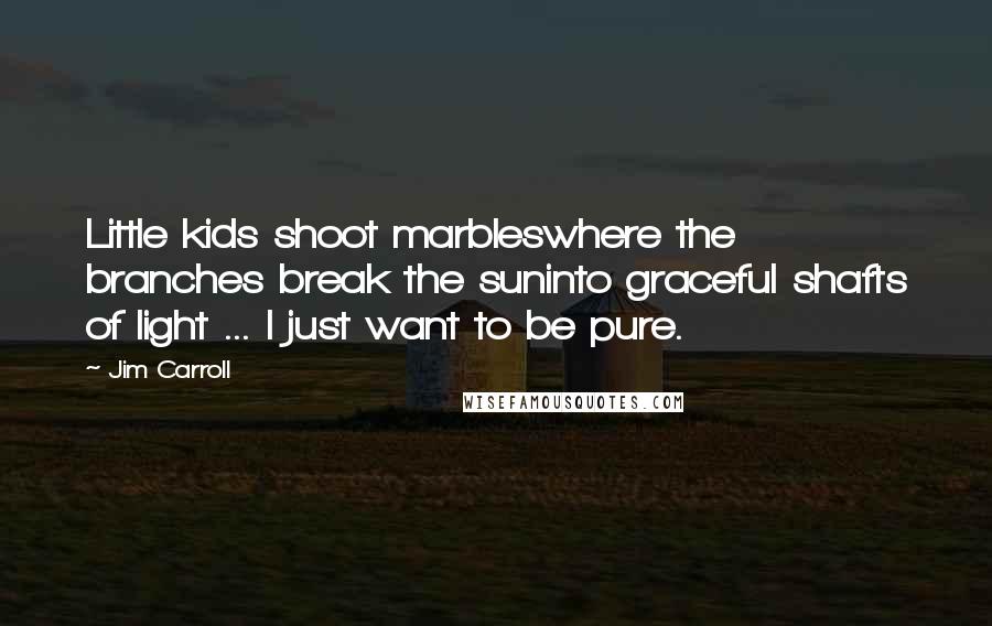 Jim Carroll Quotes: Little kids shoot marbleswhere the branches break the suninto graceful shafts of light ... I just want to be pure.