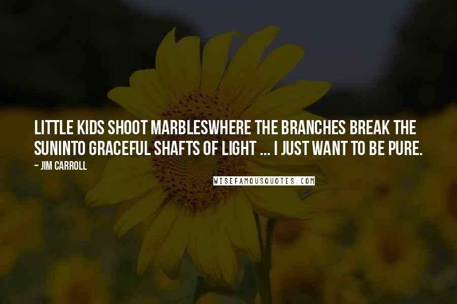 Jim Carroll Quotes: Little kids shoot marbleswhere the branches break the suninto graceful shafts of light ... I just want to be pure.