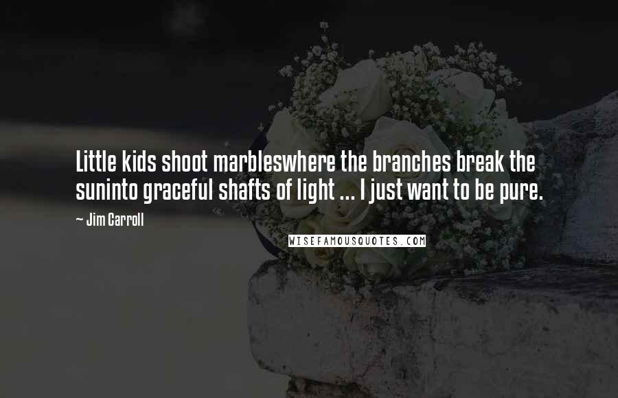 Jim Carroll Quotes: Little kids shoot marbleswhere the branches break the suninto graceful shafts of light ... I just want to be pure.