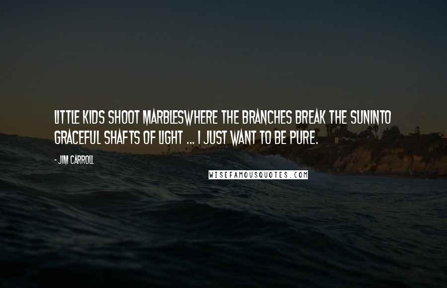 Jim Carroll Quotes: Little kids shoot marbleswhere the branches break the suninto graceful shafts of light ... I just want to be pure.