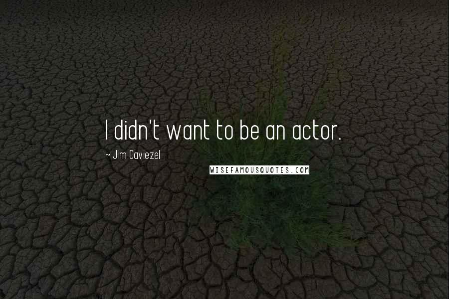 Jim Caviezel Quotes: I didn't want to be an actor.