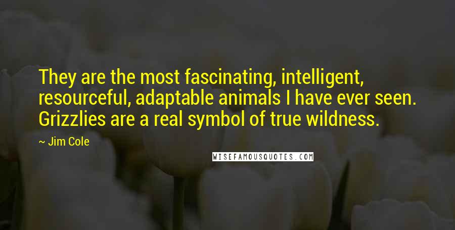 Jim Cole Quotes: They are the most fascinating, intelligent, resourceful, adaptable animals I have ever seen. Grizzlies are a real symbol of true wildness.